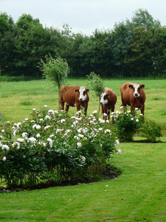 Landgoedlogies Pabema Bed & Breakfast Zuidhorn Luaran gambar